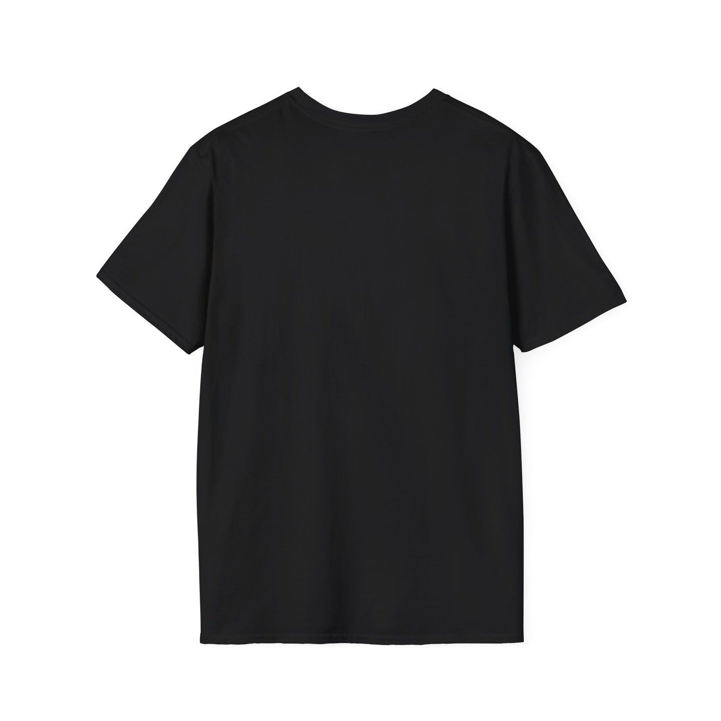 Kaleidoscope Panda Tee - Geometric Colorburst Panda T-Shirt - Unisex Softstyle T-Shirt